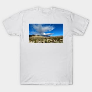 Anza Borrego State Park T-Shirt